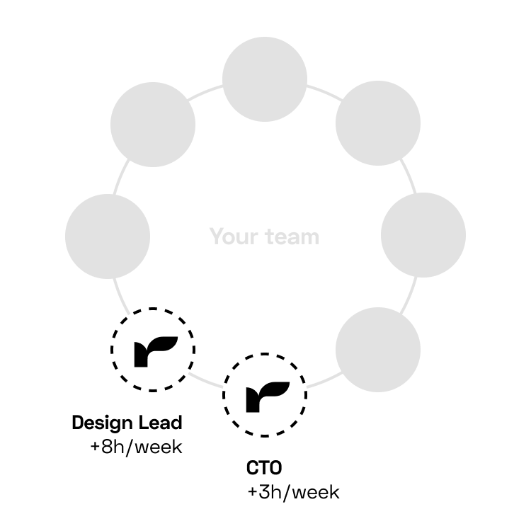 Rumbo Fractional Experts